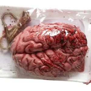 Cerebro Sangriento Envasado para Colgar