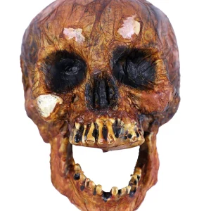 Calavera Envejecida Realista