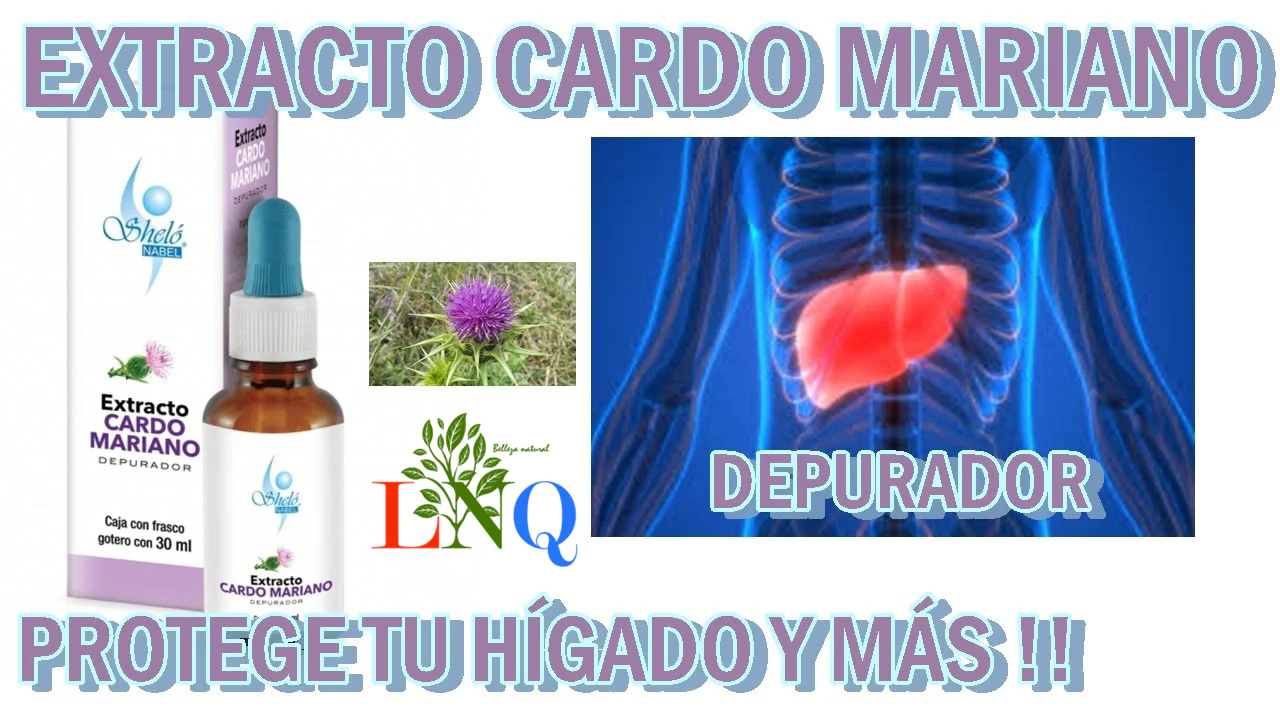 Extracto cardo mariano
